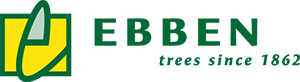 Ebben